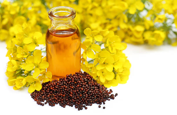 Mustard seed oil Bluexoverseas