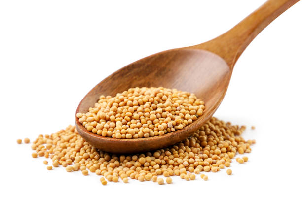 Mustard seeds Bluexoverseas