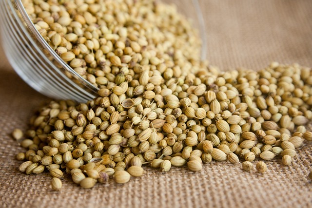 coriander Bluexoverseas