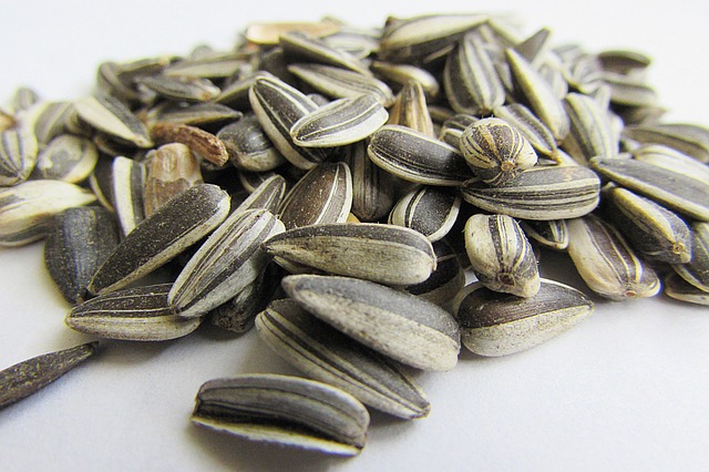 sunflower seeds Bluexoverseas